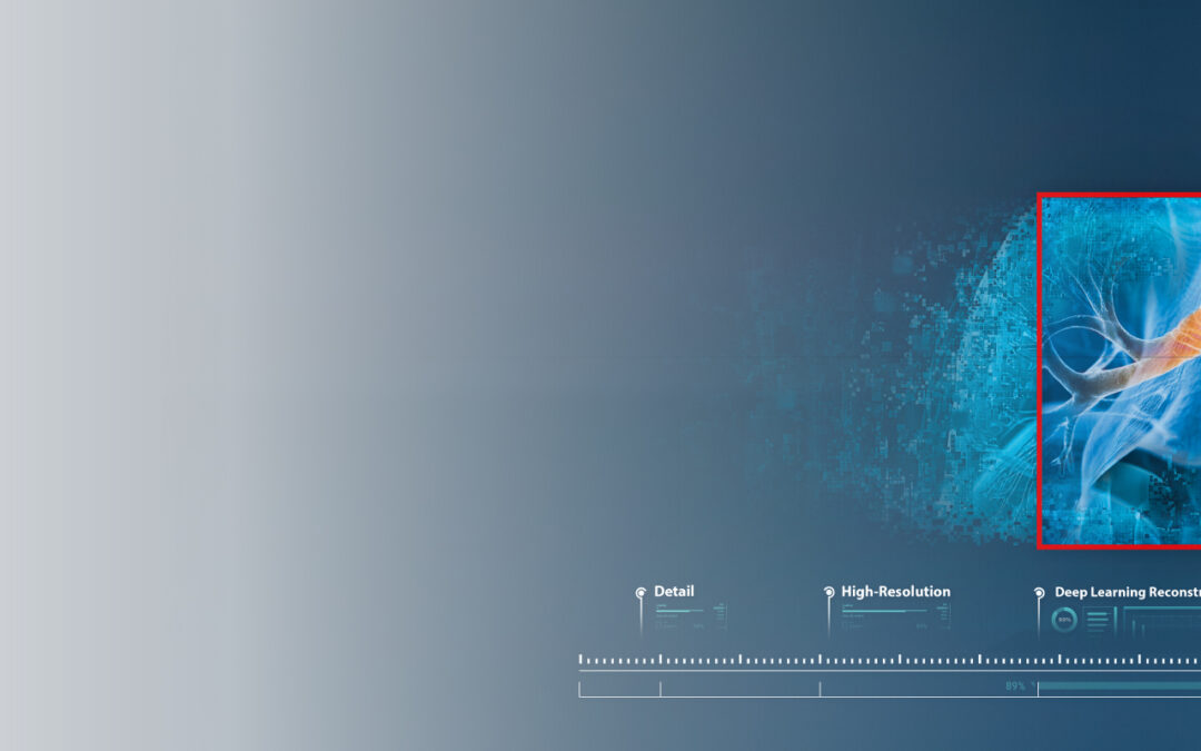 Find the Nerve in the Groin and the Lower Extremity