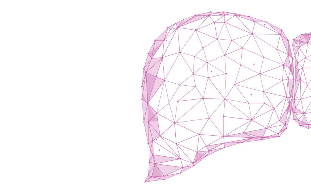 Novel perspectives of oncological MRI liver imaging with iron oxidebased nanoparticles (SPIO)