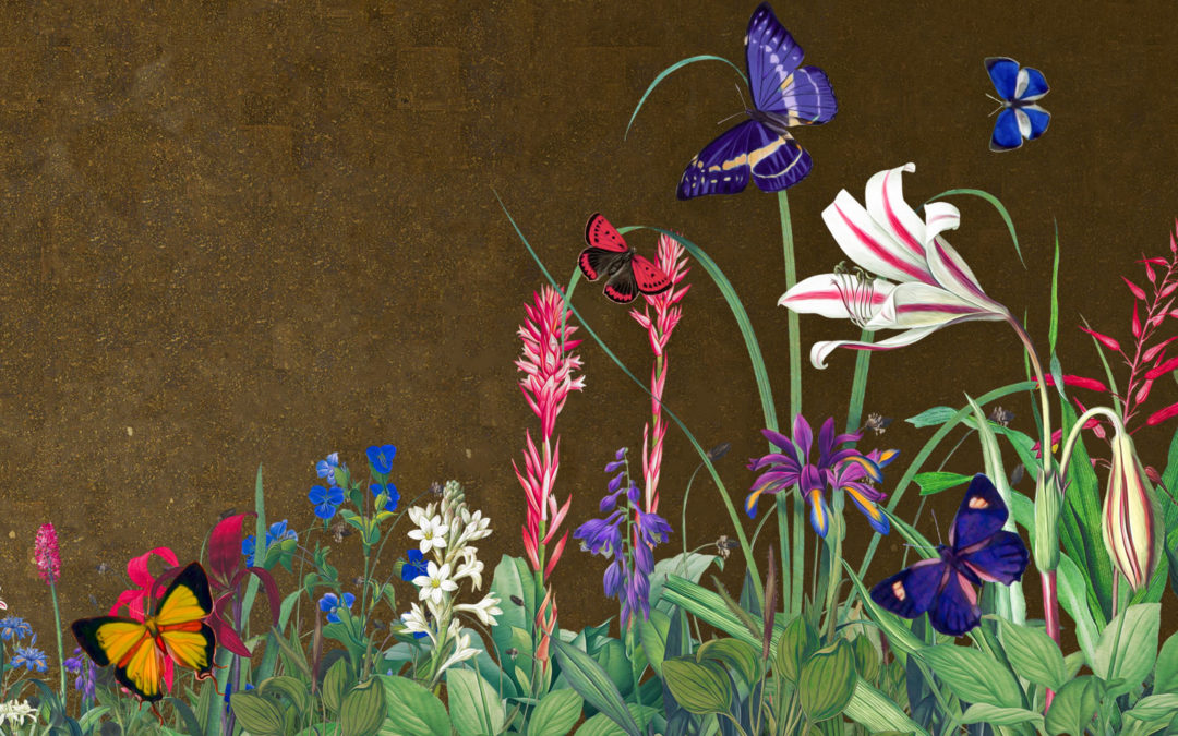 SY9 – Risk-adjusted breast cancer screening strategies