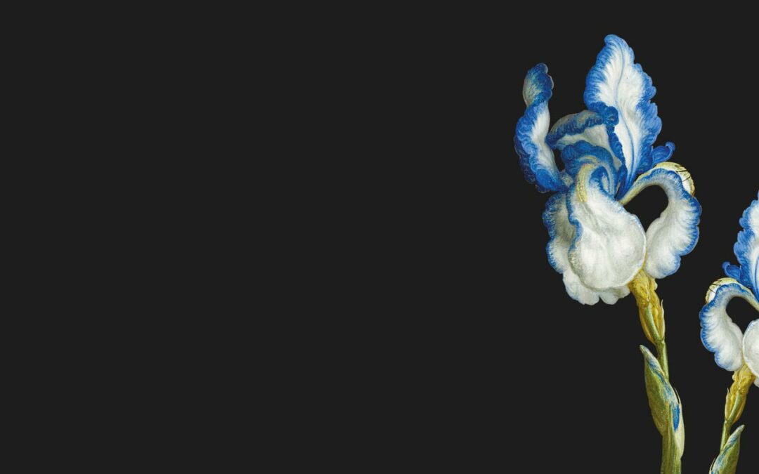 Pros and Cons: Low and ultra-low dose CT should be used for imaging thoracic disorders CME