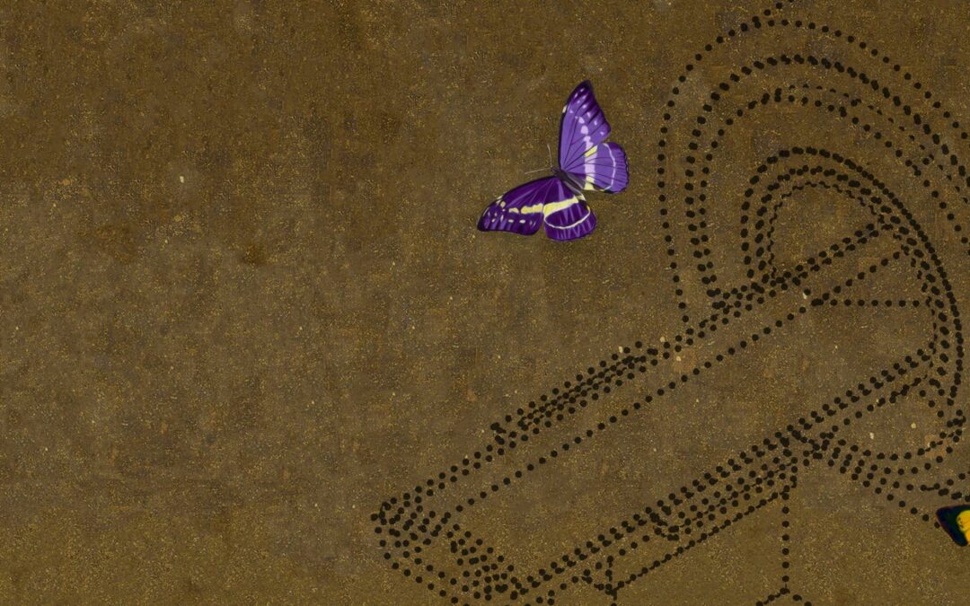 Abdominal and Gastrointestinal / Genitourinary