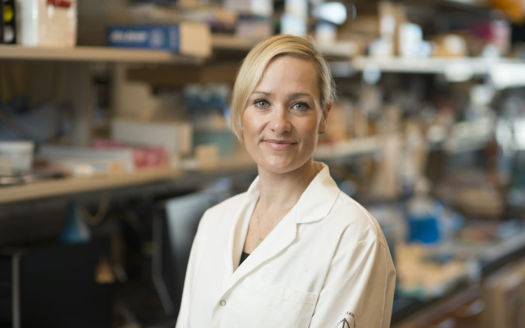 Katja  Pinker-Domenig, New York / US