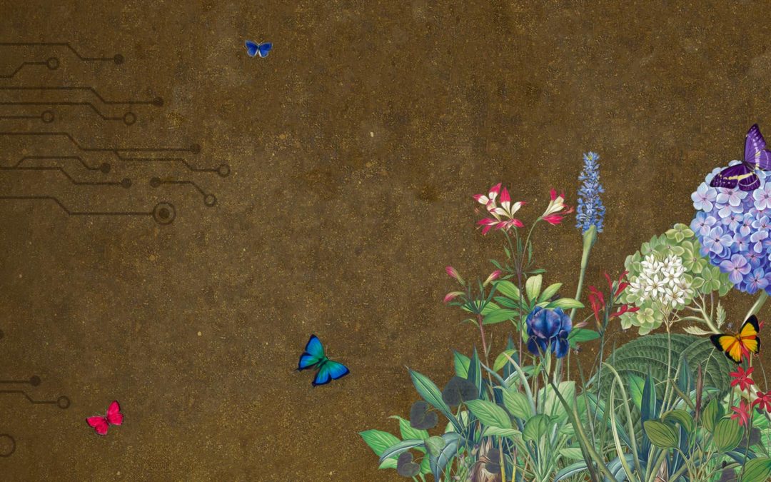 Industry Pitch – Lunit