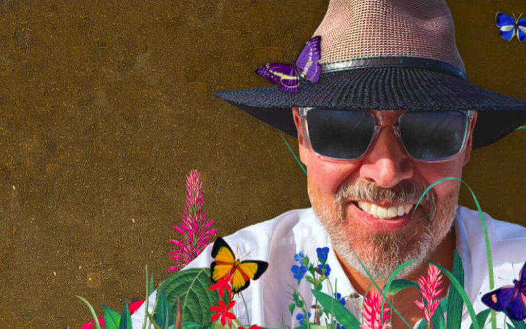 IIQ – Image Interpretation Quiz